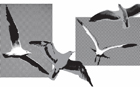 0x01 graphic